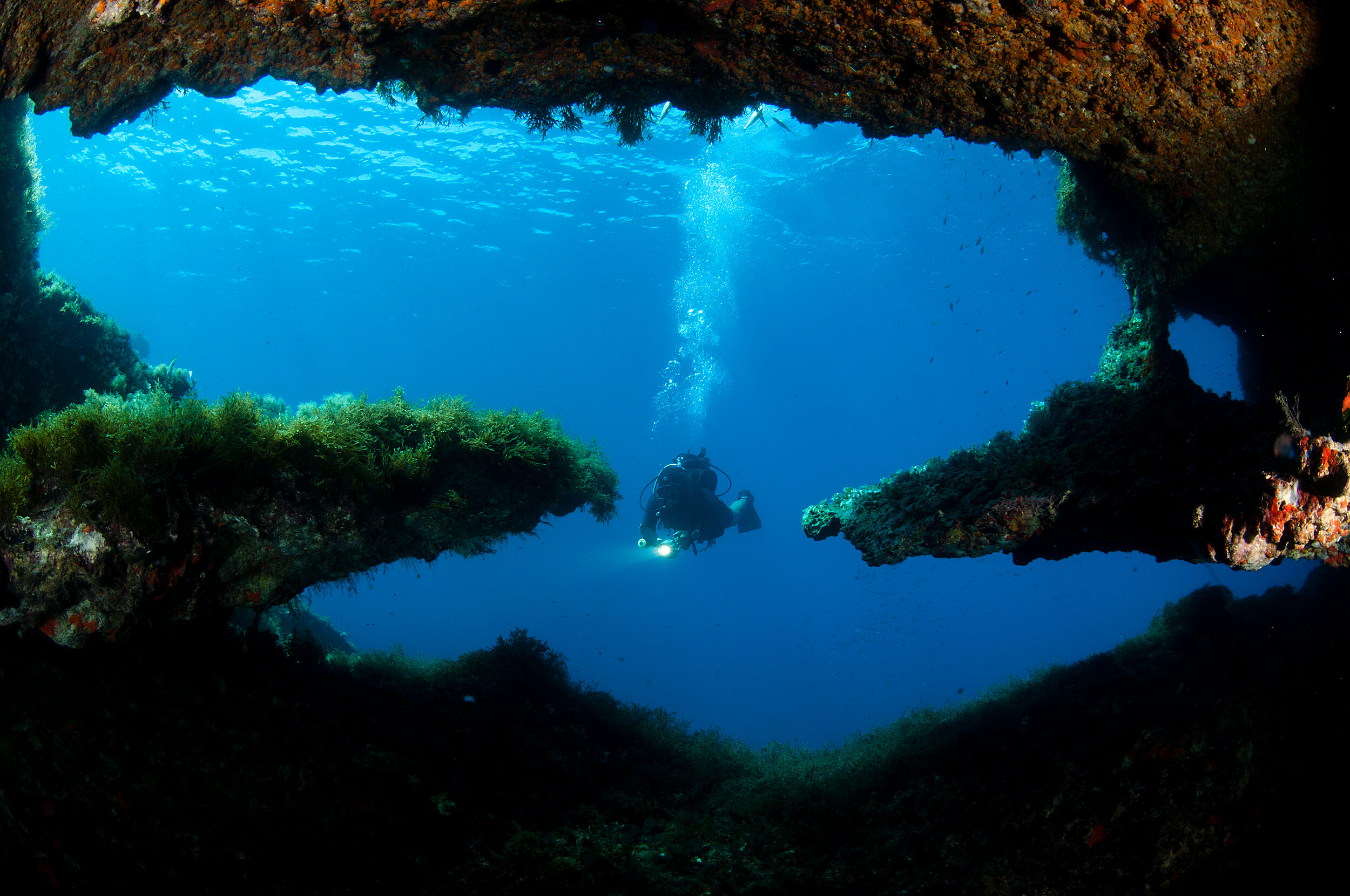 Gozo Scuba Diving