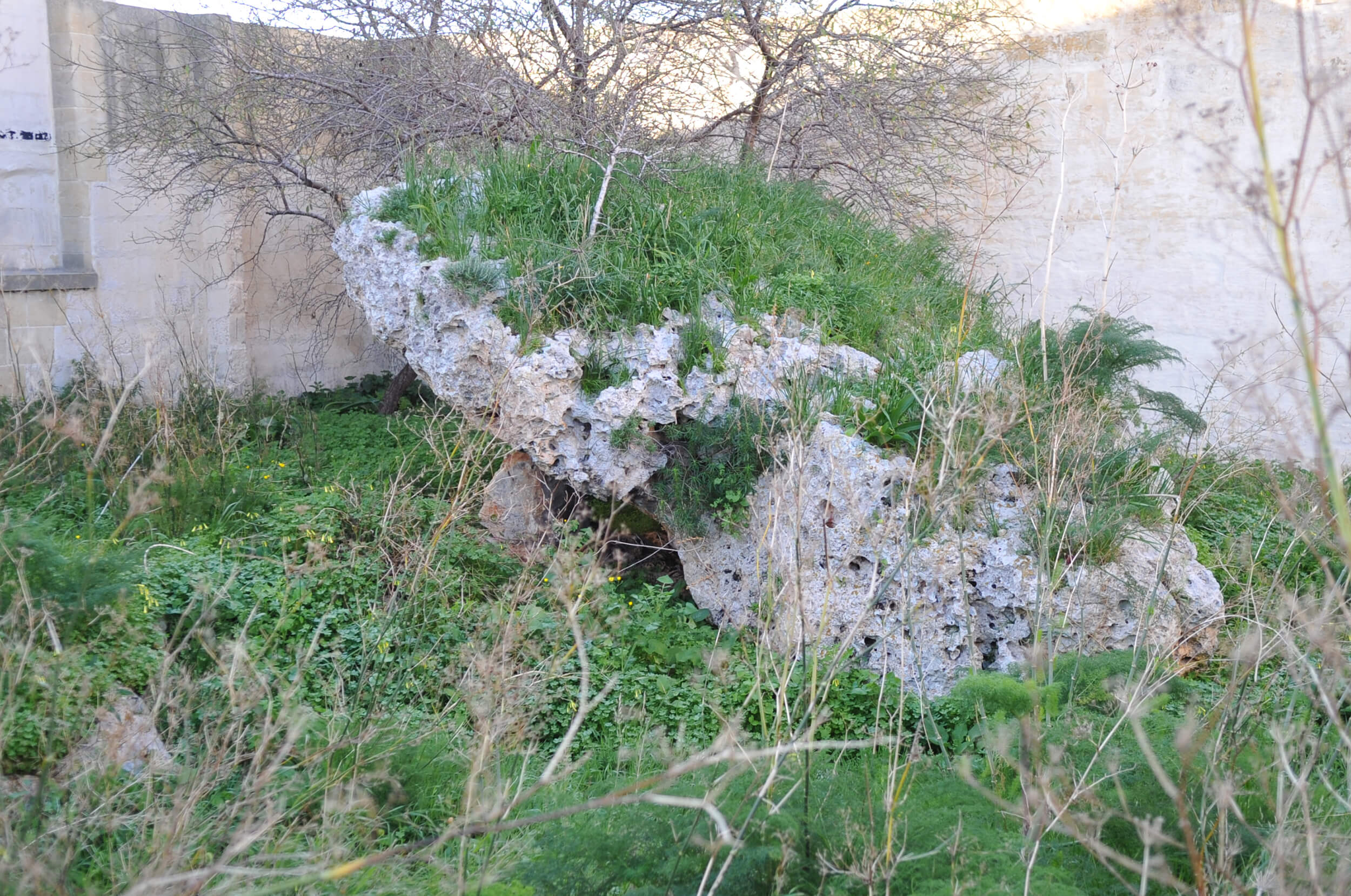 Ix-Xagħra-gozo