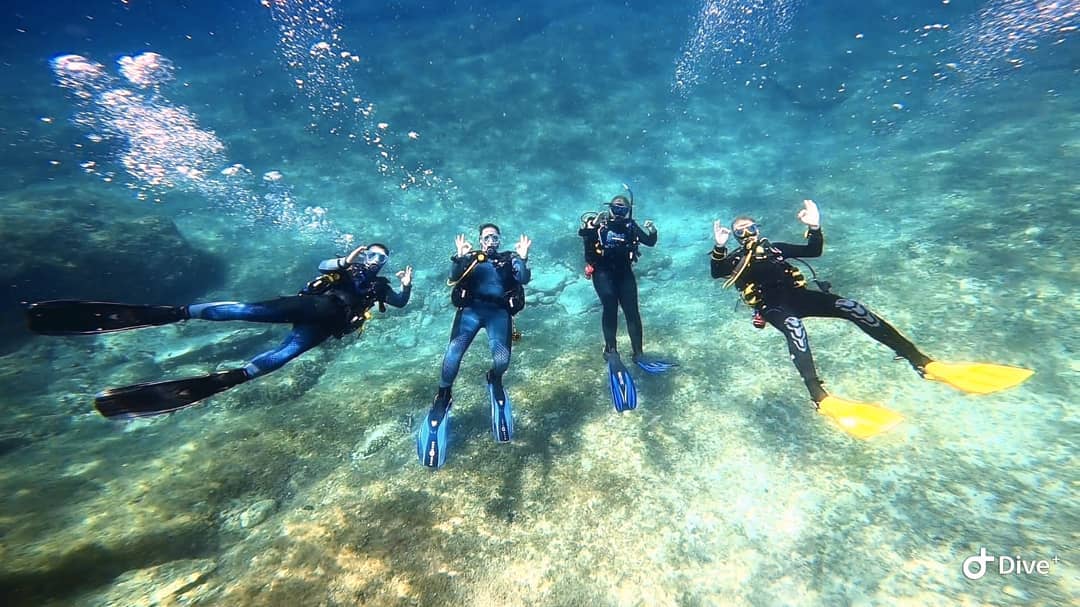 Diving Gozo's waters