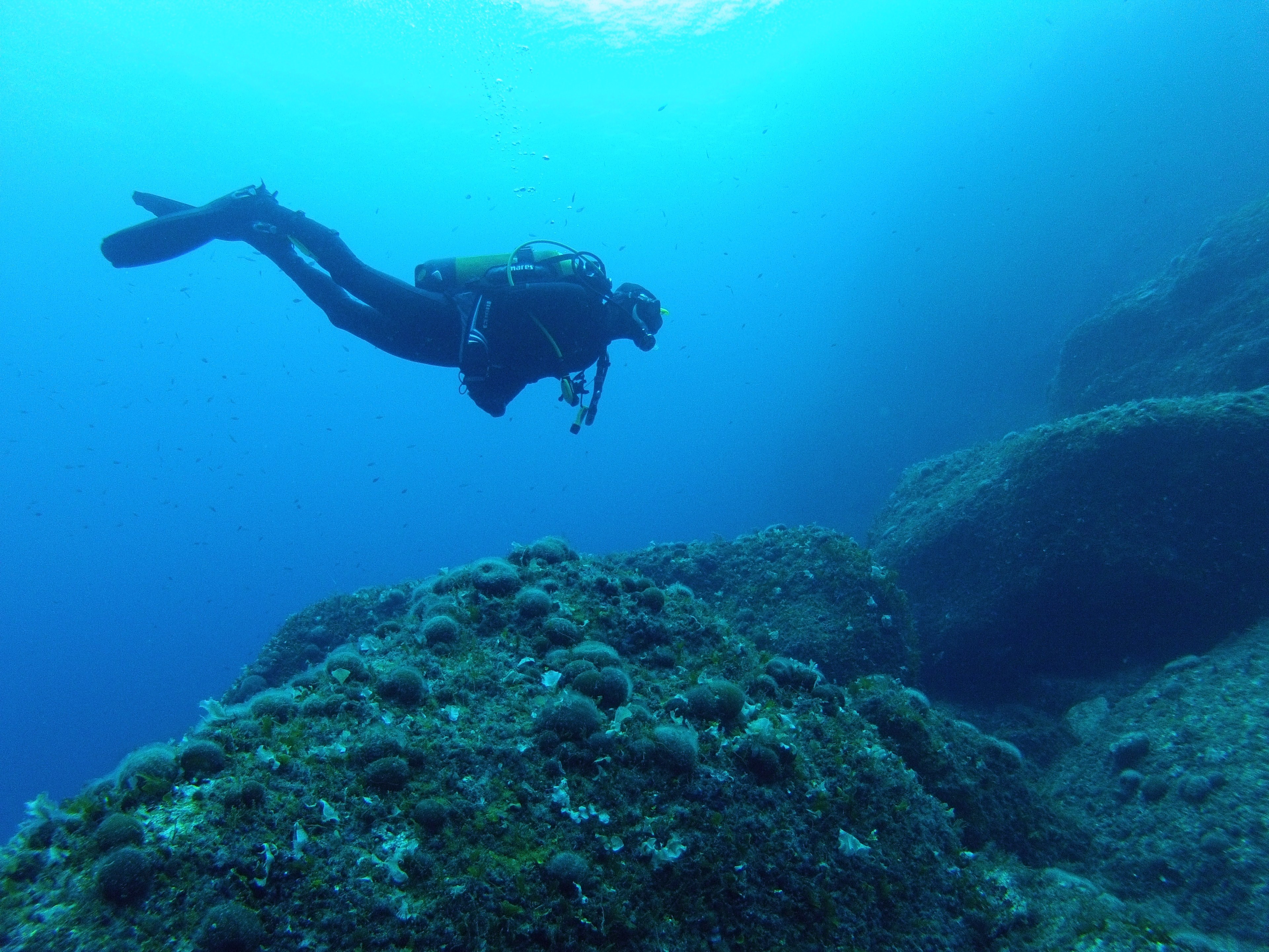 Diving Gozo